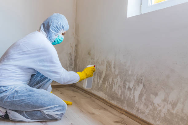Hvac And Air Duct Mold Remediation inspection of HVAC system in Abingdon