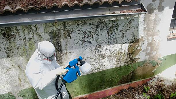 Mold Remediation service in Abingdon, Abingdon, VA